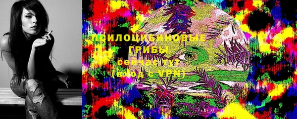 крисы Верея