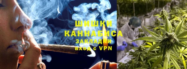 крисы Верея