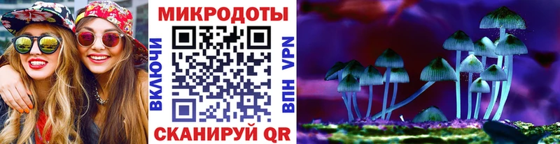 Купить где  Могоча  Галлюциногенные грибы мицелий 